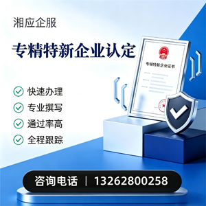 陕西专精特新企业申报服务