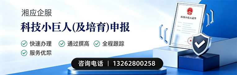 陕西科技小巨人及培育企业申报服务