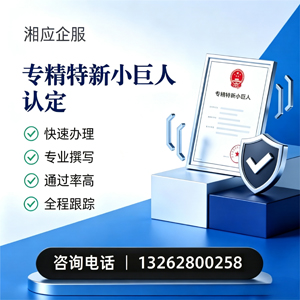 陕西专精特新小巨人申报服务