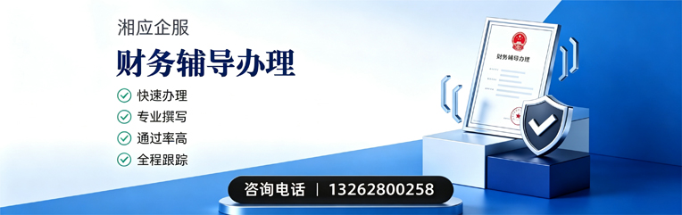 陕西财务辅导申请服务