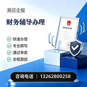 陕西财务辅导申请服务
