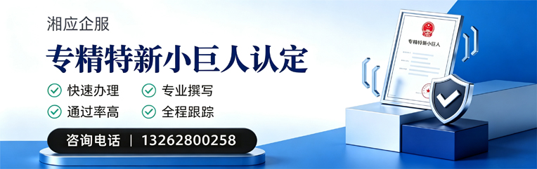 陕西专精特新小巨人申报服务